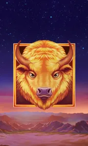 Buffalo's Sun 2